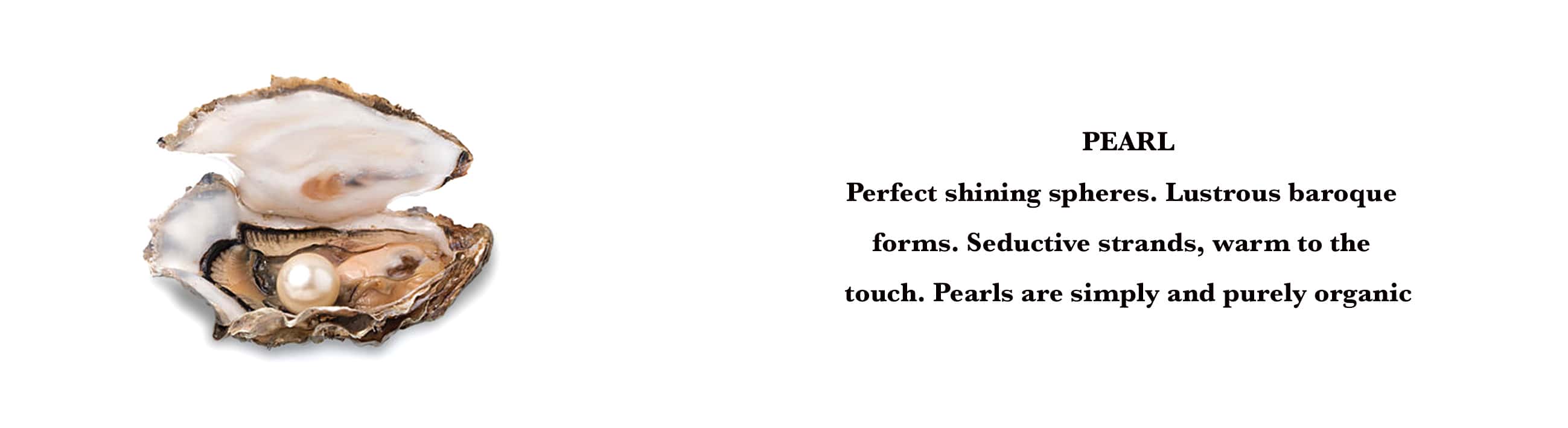 page-banner