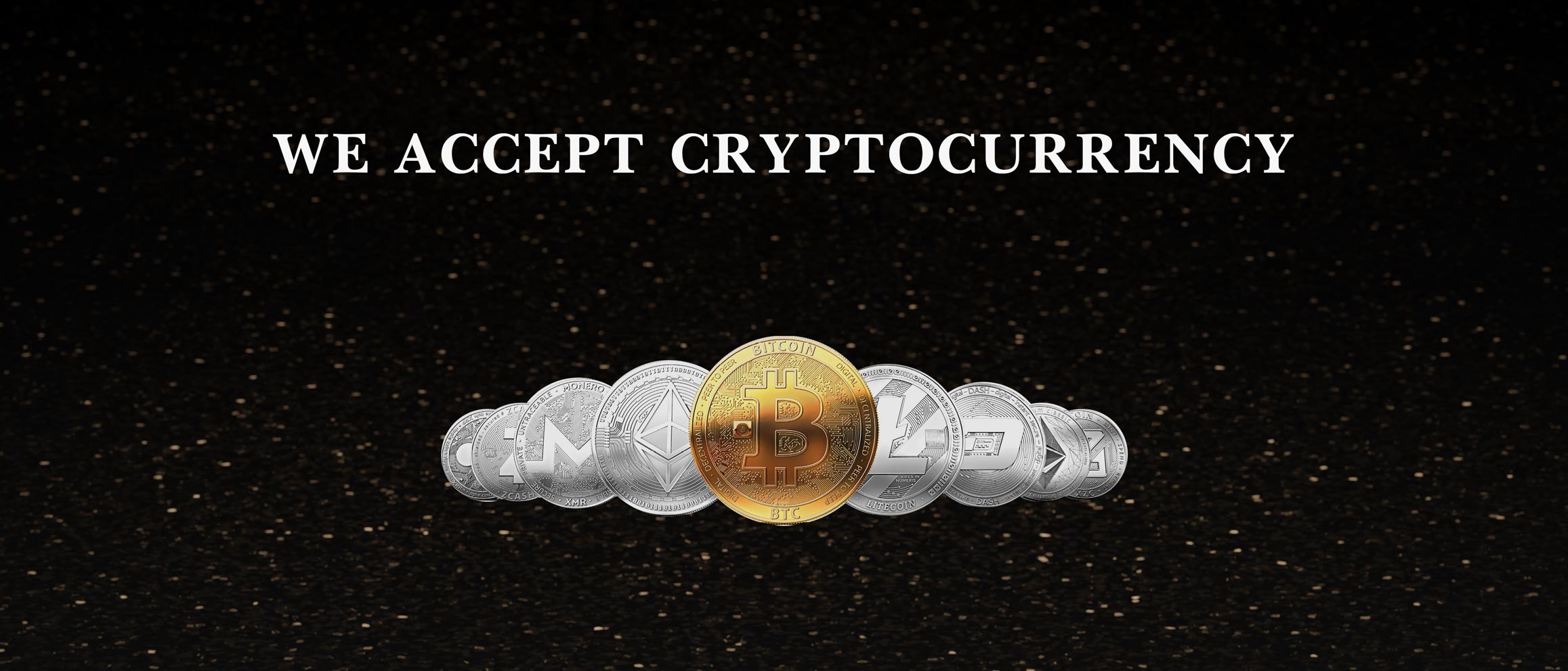 banner-image3